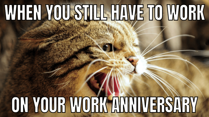 How to Say Happy Work Anniversary! 50 Messages, Quotes, and GIFs | Roundup